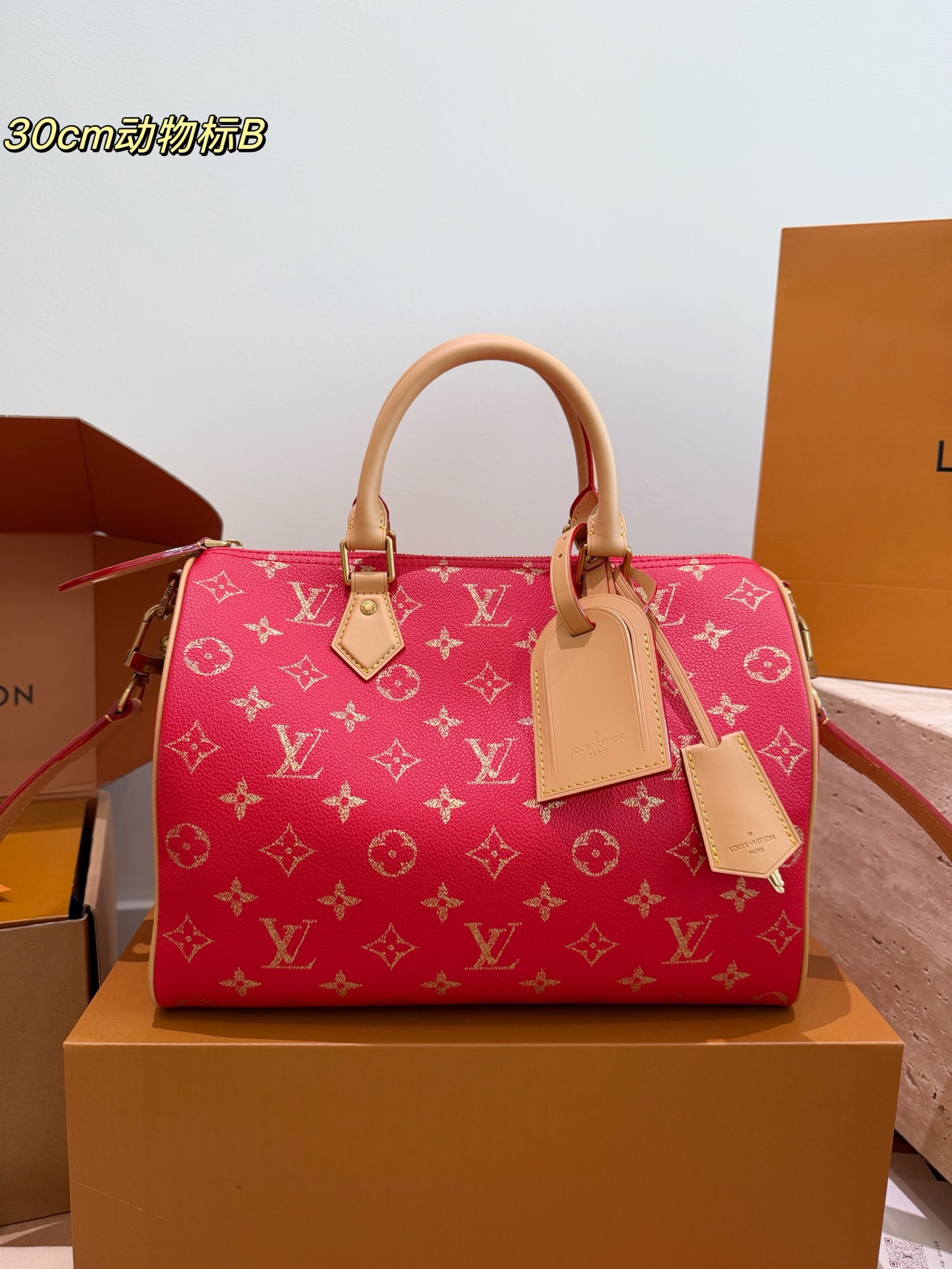 Louis Vuitton LV Speedy Handbag Monogram Canvas